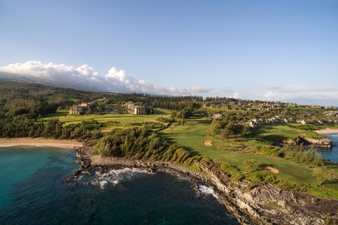 THE RITZ-CARLTON KAPALUA - Photo 214