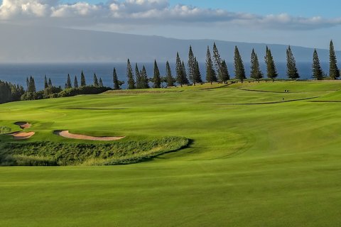 THE RITZ-CARLTON KAPALUA - Photo 217