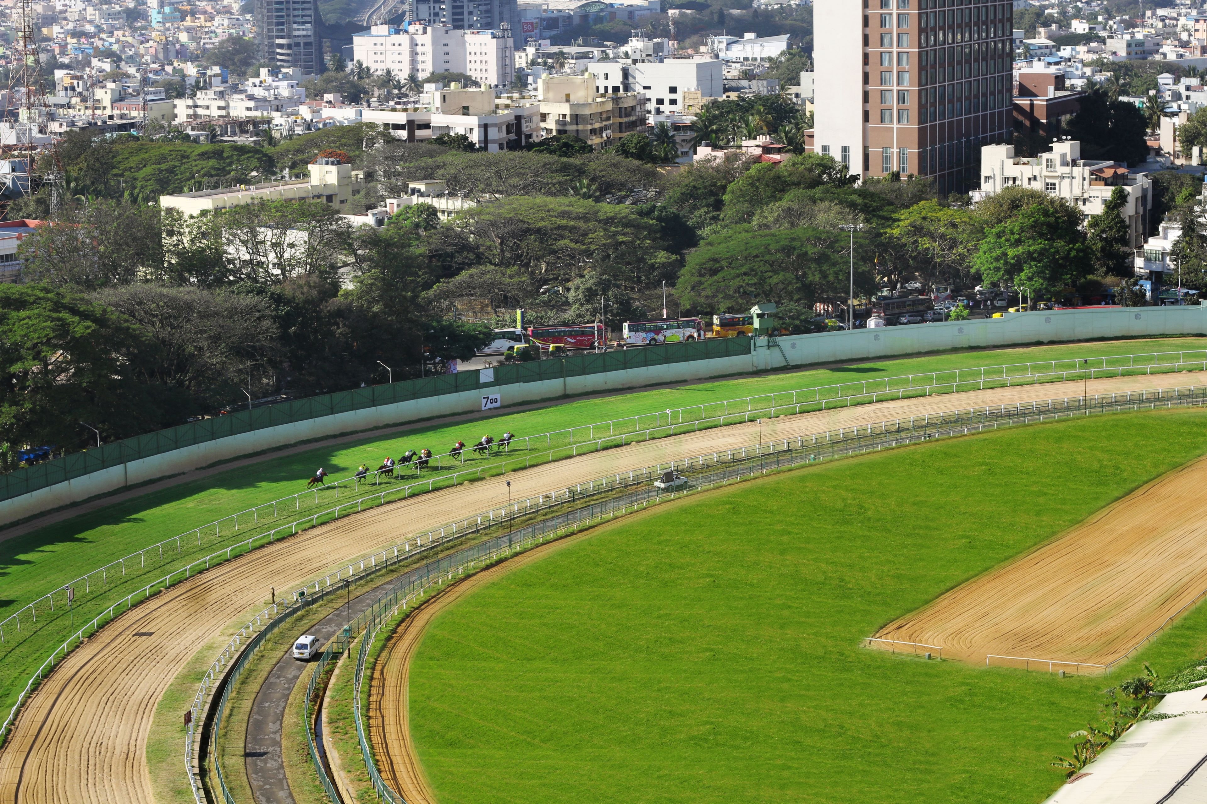 Holiday Inn Racecourse in Trip Canvas