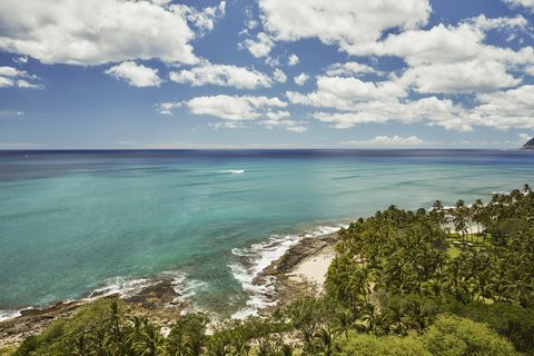 FOUR SEASONS RESORT OAHU AT KO OLINA - Photo 58