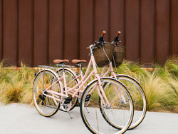  - Arrive Palm Springs Hotel