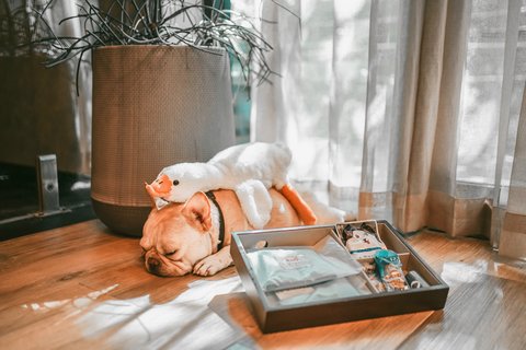 LA MINIERA POOL VILLAS PATTAYA - Photo 174