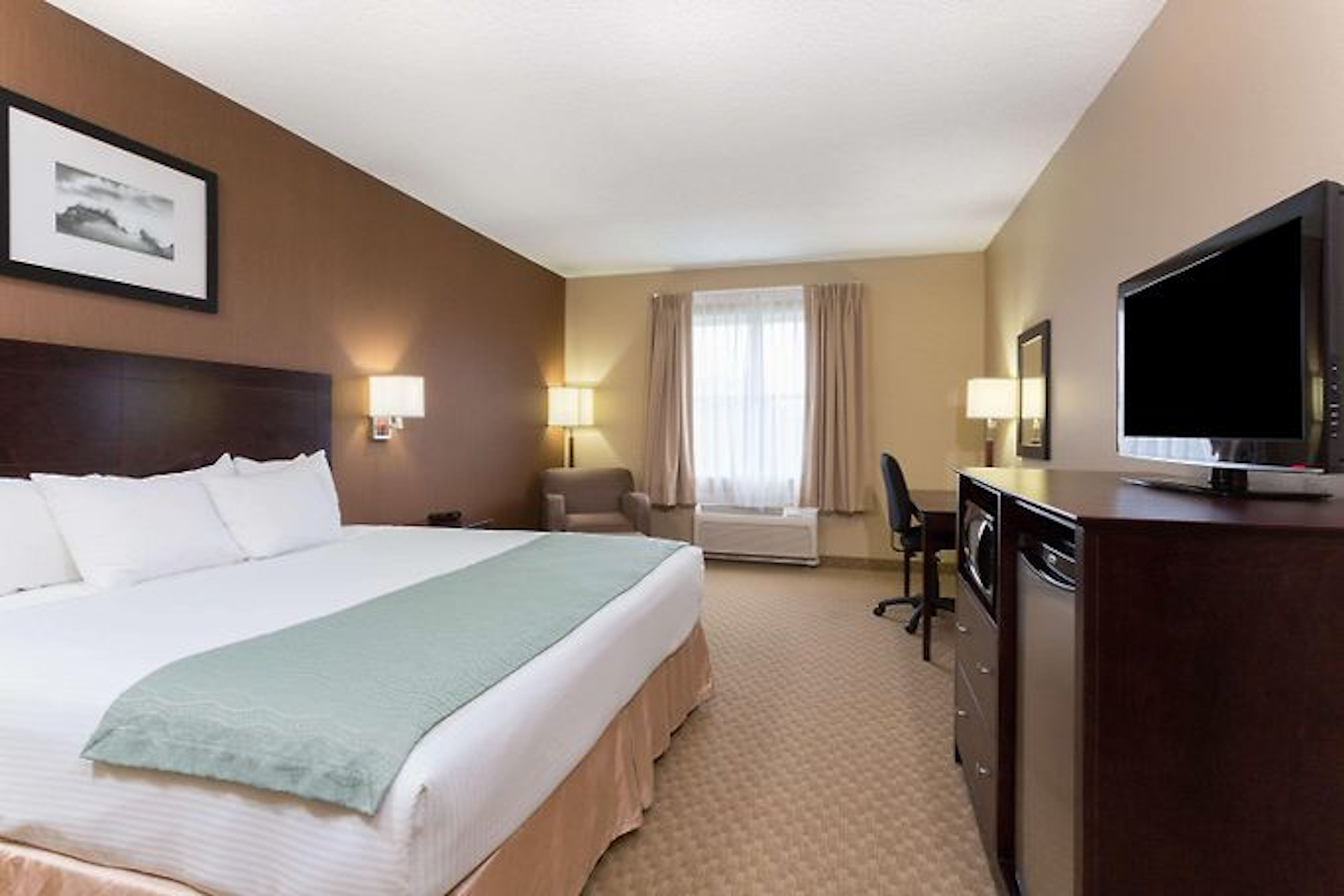 HOLIDAY INN EXP STES PALM COAST I-9-guestroom-1 King or 2 Queen Bed room or suite.jpg