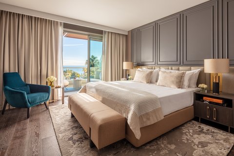 ANANTARA PLAZA NICE HOTEL - Photo 52