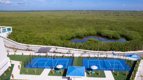 Pickleball Courts