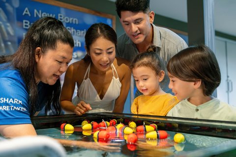 JW MARRIOTT KHAO LAK SUITES - Photo 143