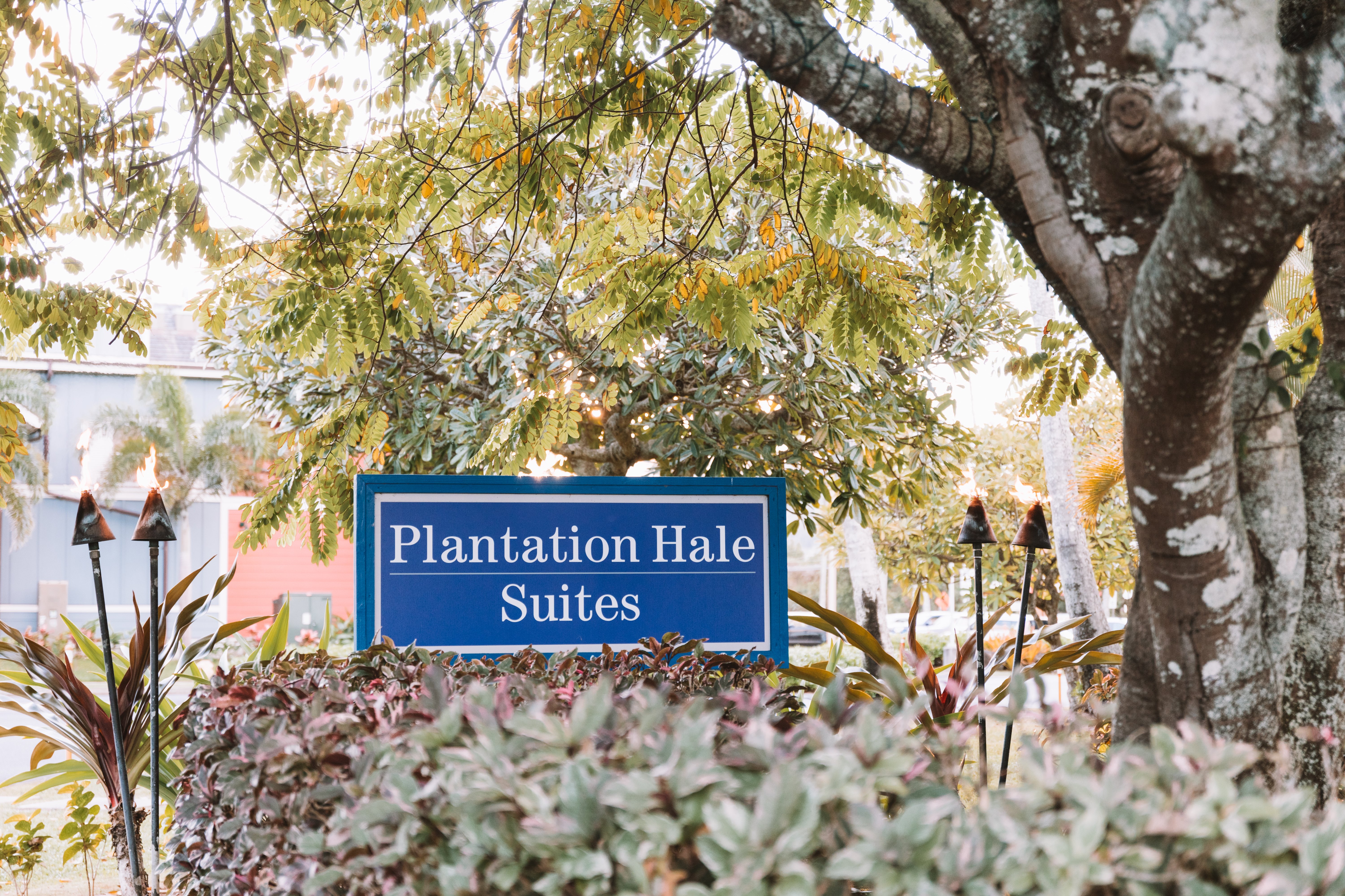 Plantation Hale Exterior Signage