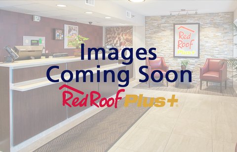 Images Coming Soon Placeholder RR