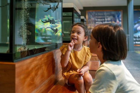 JW MARRIOTT KHAO LAK RESRT SPA - Photo 221