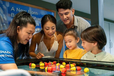 JW MARRIOTT KHAO LAK RESRT SPA - Photo 227