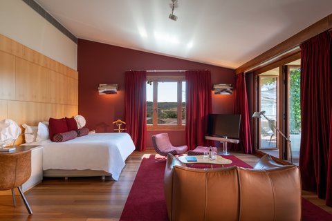 HOTEL MARQUES RISCAL ELCIEGO - Photo 39