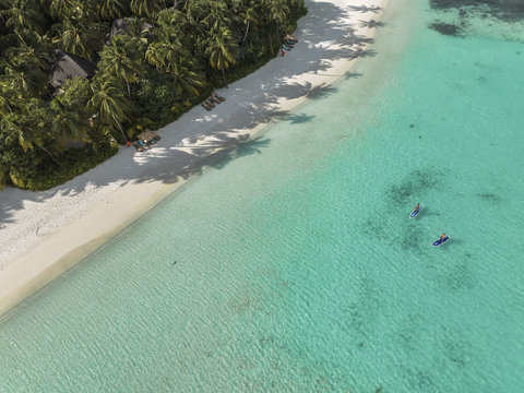 Halaveli Maldives Coconut Beach