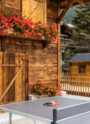 HOTEL SCHWEIZERHOF ZERMATT - Photo 23