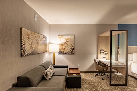 Suite Living Area