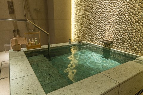 HOTEL SEIRYU KYOTO KIYOMIZU - Photo 21