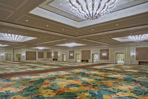 THE RITZ-CARLTON KAPALUA - Photo 257