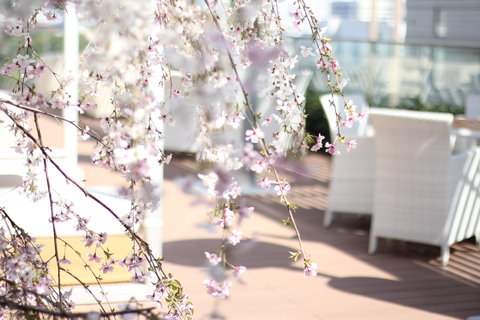 THE KITANO HOTEL TOKYO - Photo 16