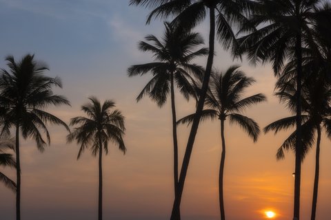 JW MARRIOTT KHAO LAK SUITES - Photo 201