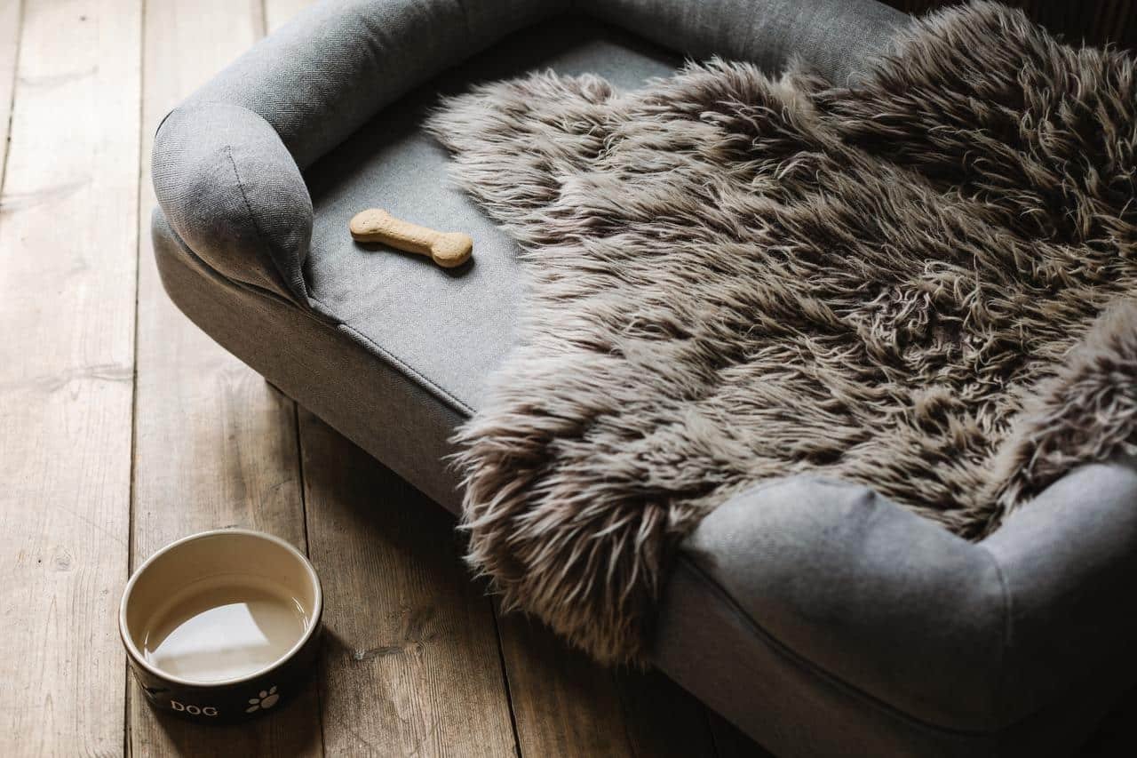 Glasson Lakehouse-guestroom-PK DOGGY ROOM DOG BED.jpg