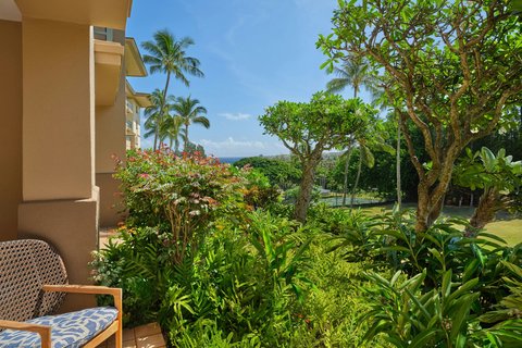 THE RITZ-CARLTON KAPALUA - Photo 59