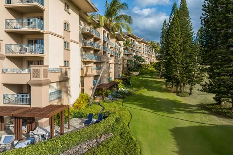 THE RITZ-CARLTON KAPALUA - Photo 63