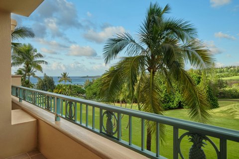 THE RITZ-CARLTON KAPALUA - Photo 64