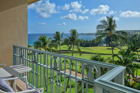 THE RITZ-CARLTON KAPALUA - Photo 86