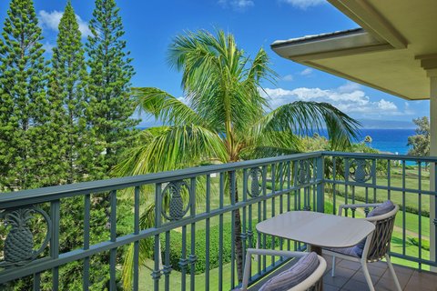 THE RITZ-CARLTON KAPALUA - Photo 85