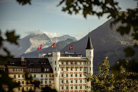 GSTAAD PALACE - Photo 3
