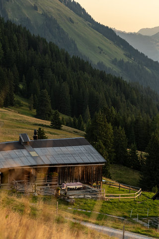 GSTAAD PALACE - Photo 64