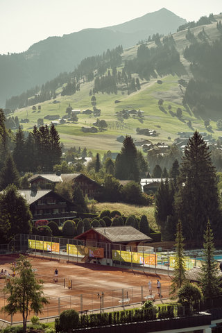 GSTAAD PALACE - Photo 72