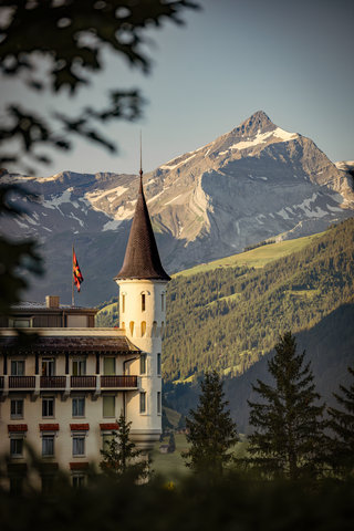 GSTAAD PALACE - Photo 73