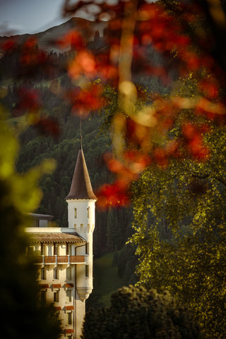 GSTAAD PALACE - Photo 74