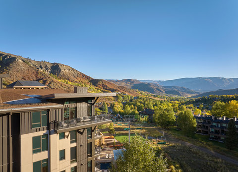 VICEROY SNOWMASS - Photo 182