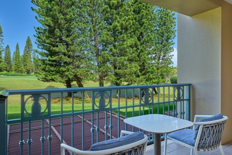 THE RITZ-CARLTON KAPALUA - Photo 84