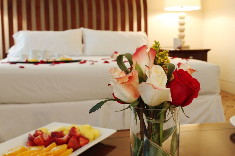 TORREMAYOR LYON-guestroom-800082 Guest Room.jpg