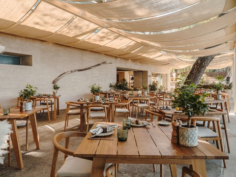 FOUR SEASONS RESORT MALLORCA AT FORMENTOR - Photo 126