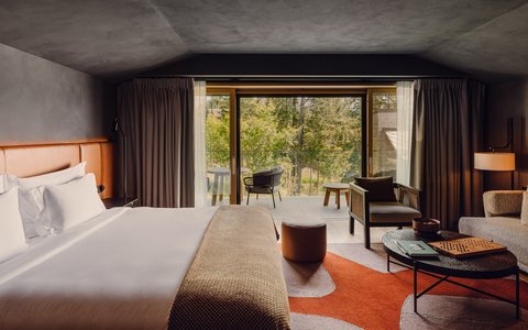 SIX SENSES CRANS MONTANA - Photo 39