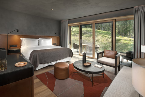 SIX SENSES CRANS MONTANA - Photo 50