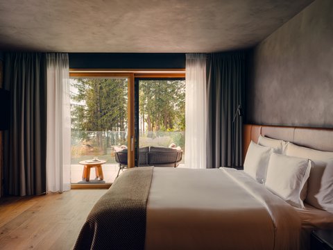 SIX SENSES CRANS MONTANA - Photo 54