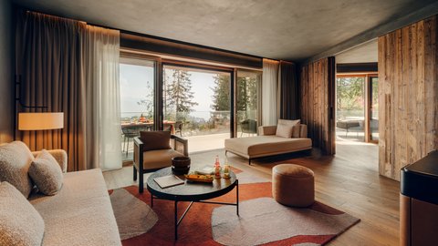 SIX SENSES CRANS MONTANA - Photo 51