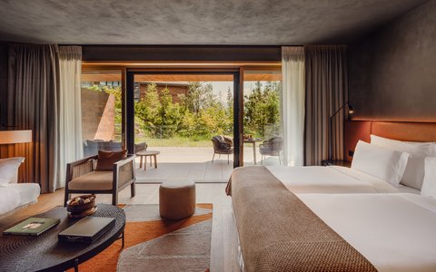 SIX SENSES CRANS MONTANA - Photo 53