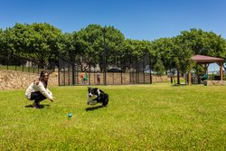  - TownePlace Suites by Marriott Lewisville